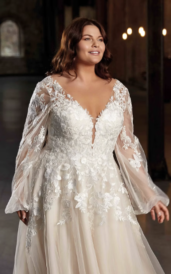 Eddy K Curvy Angel #1 thumbnail